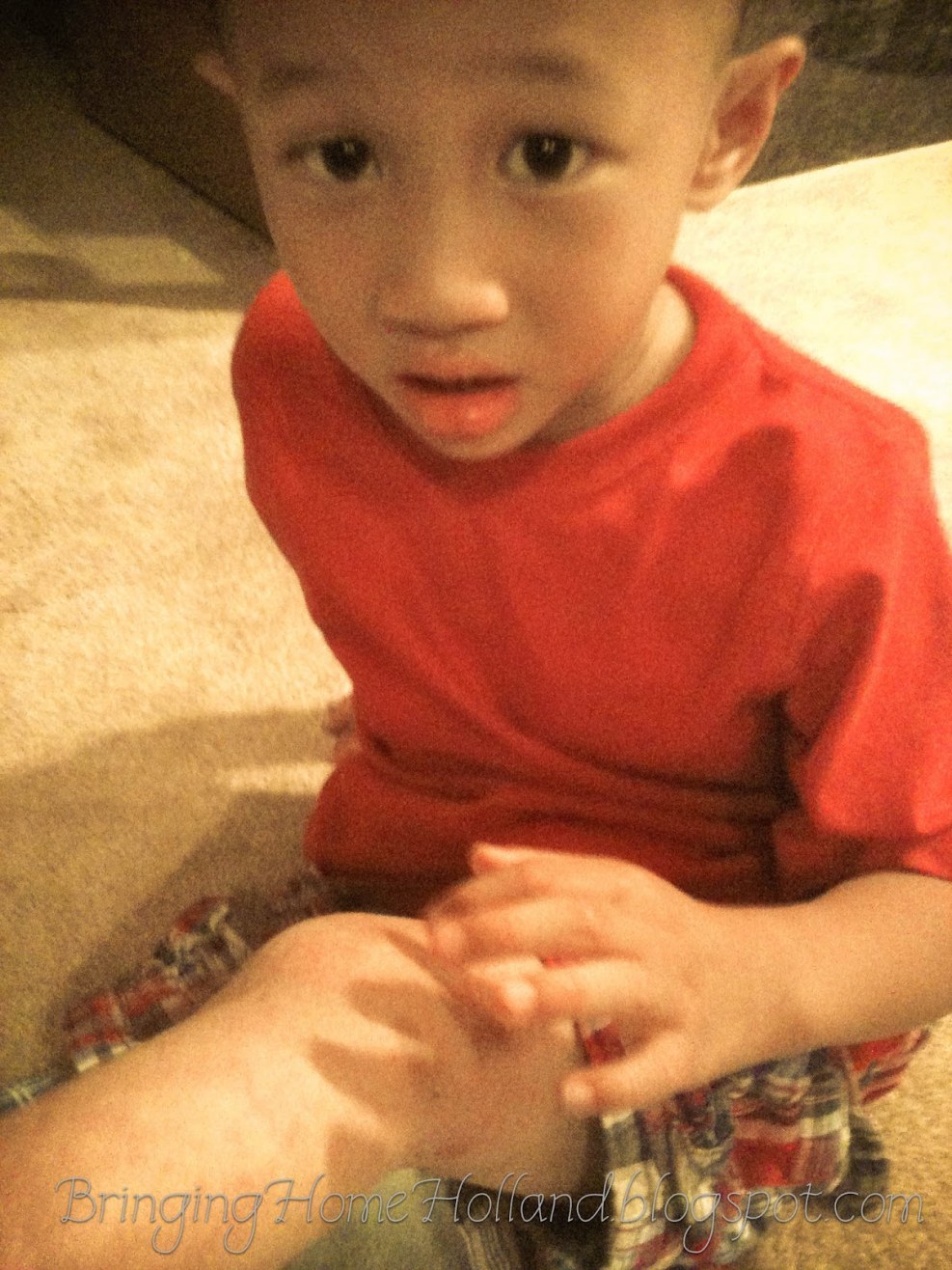 Kitchen set of blue orchid