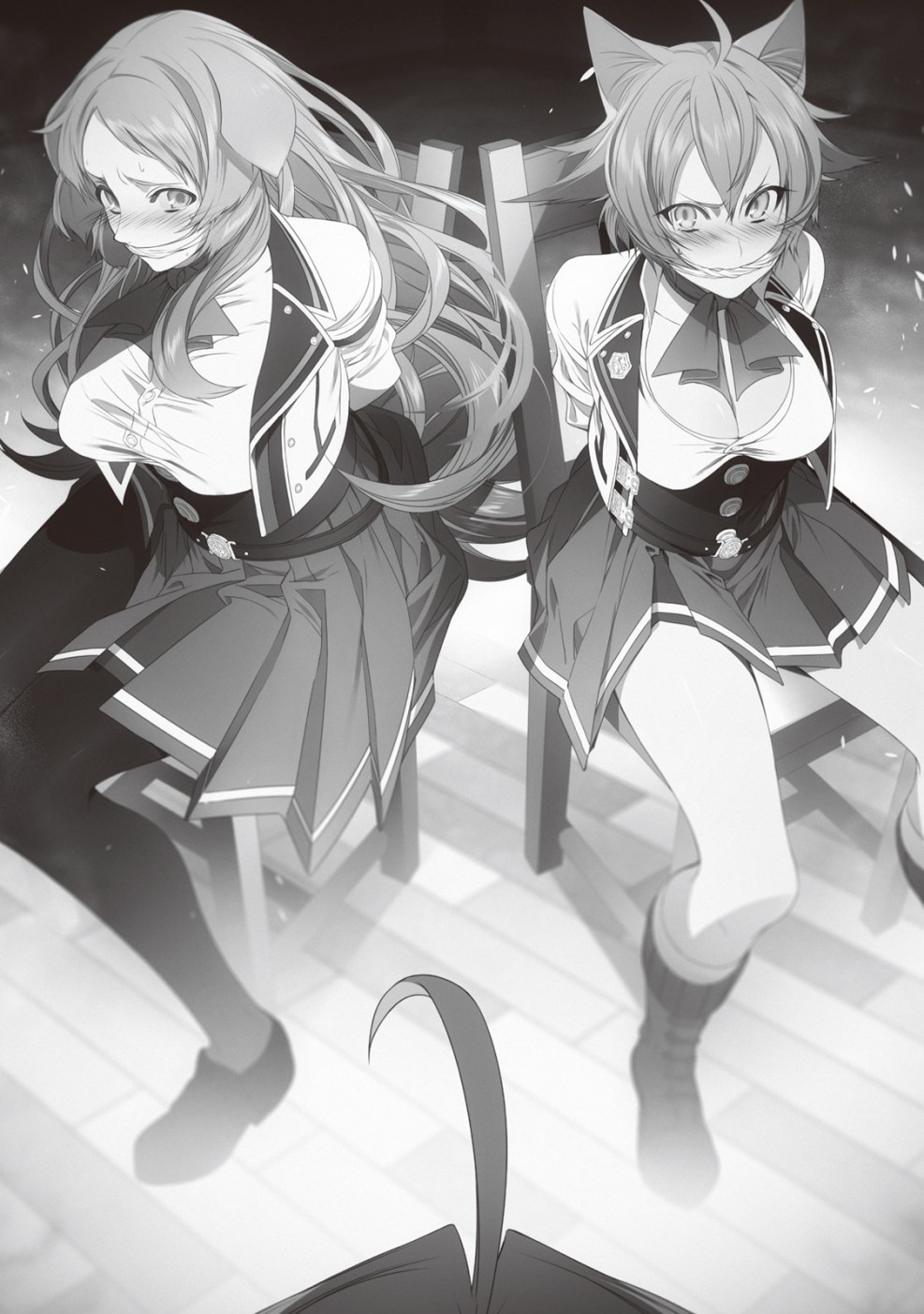 Rebirth of an unemployed anime