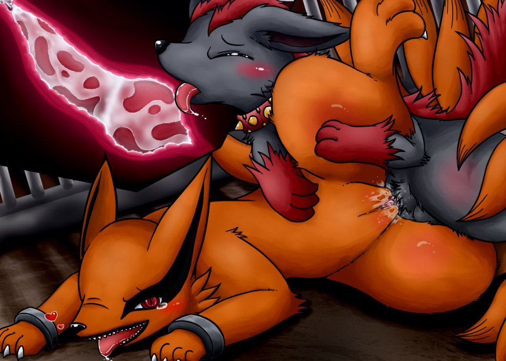Furri Hentai is nine -tailed