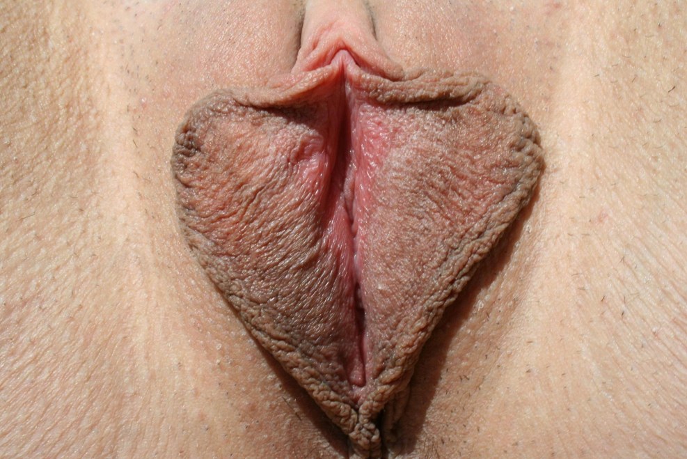 Juicy mature vagina