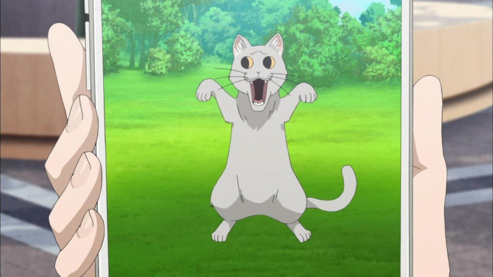 Kaho Shibuya Uzaki Chan