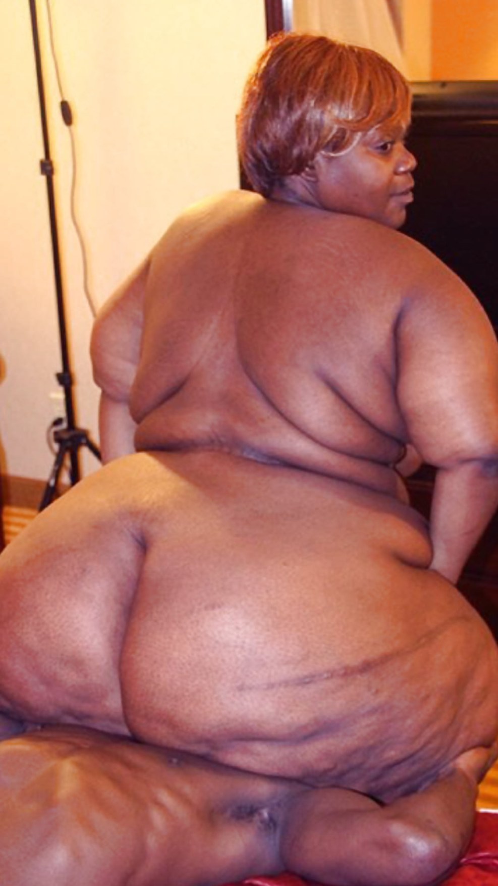 Best of ssbbw bbw assure