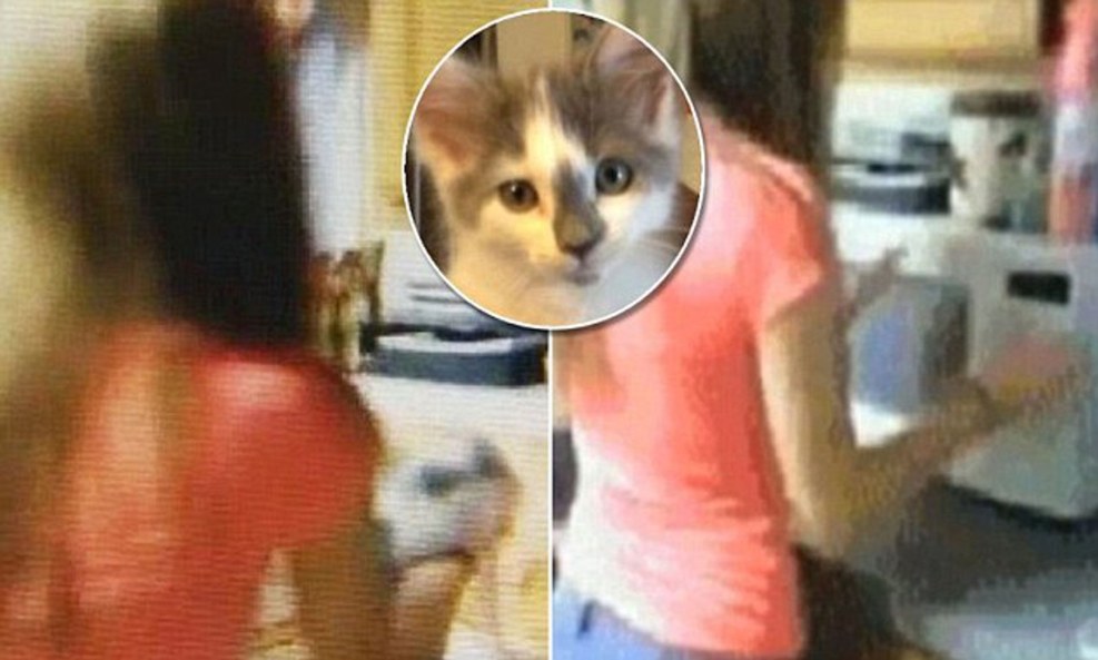 Valeria Rey (Valeria Rey)