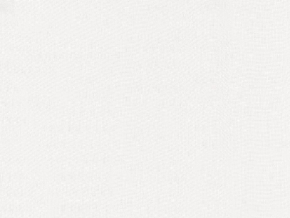 Young model Diana Ambert