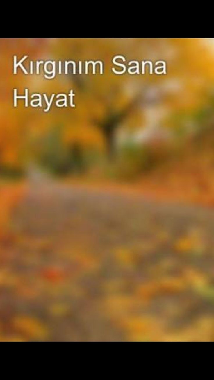 Masha Elizabeth Allen Disney