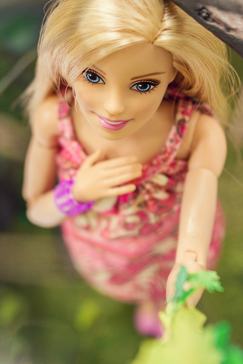 Barbie Dolls Lesbian (63 photos)