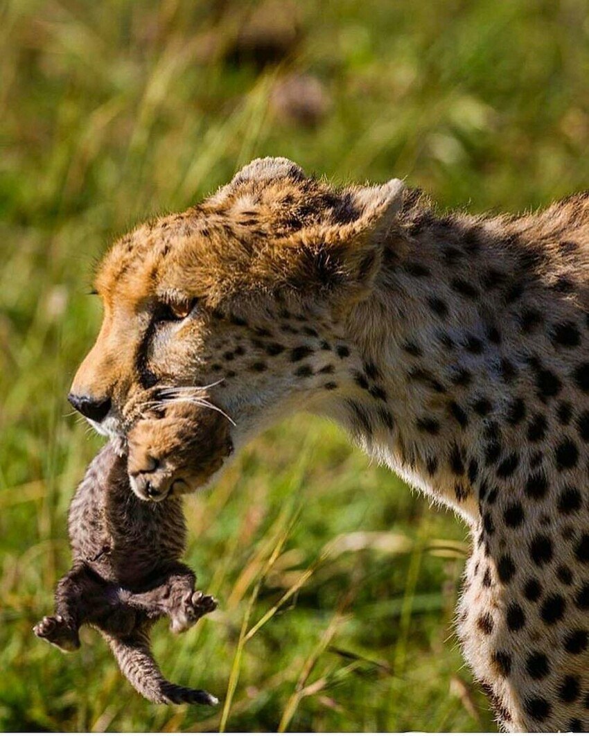 Twin Towers restaurant on the 4th floor of Daniel Dubai