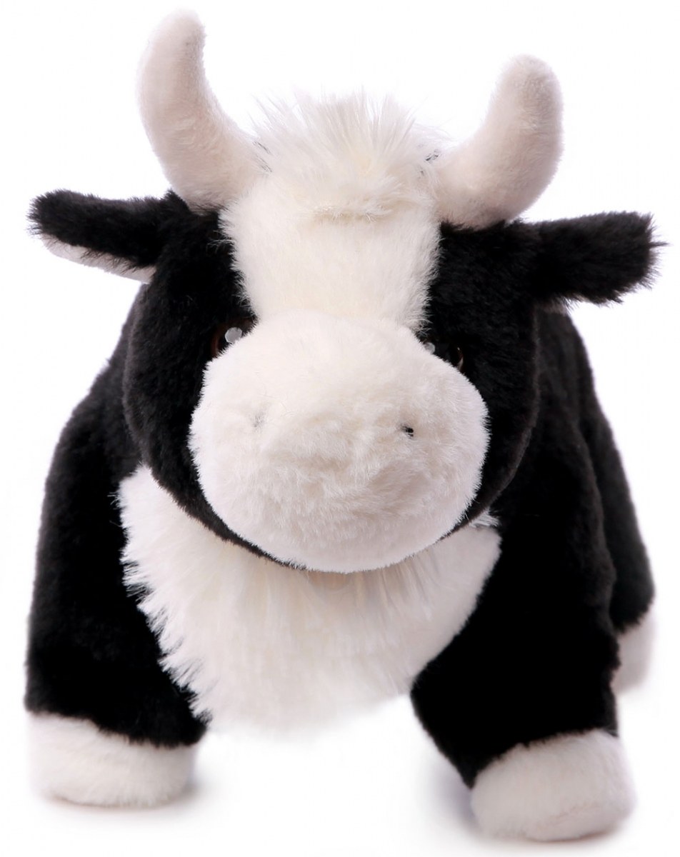 Family Lapkin (61 photos)