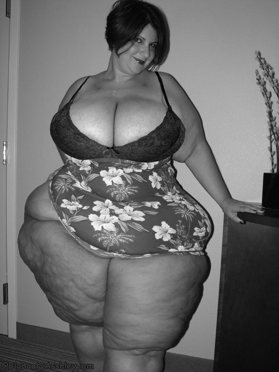 Big Fat Ssbbw