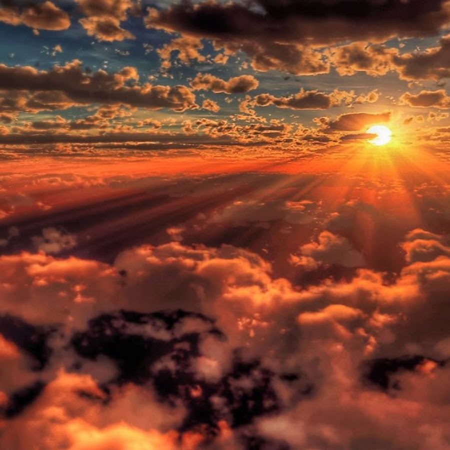 Gravity Folz Mike inel