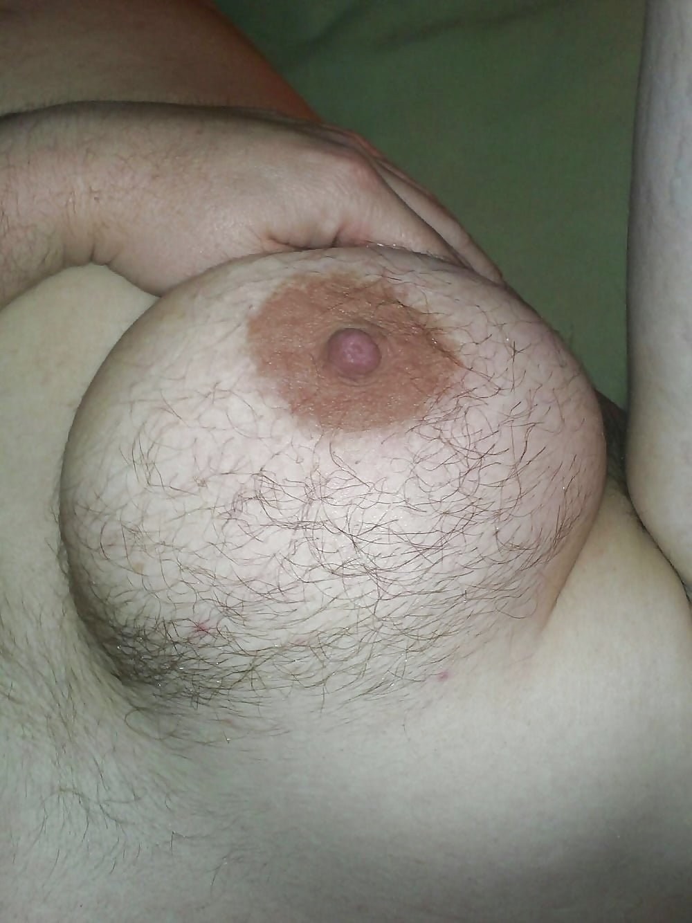 Hairy breast porn