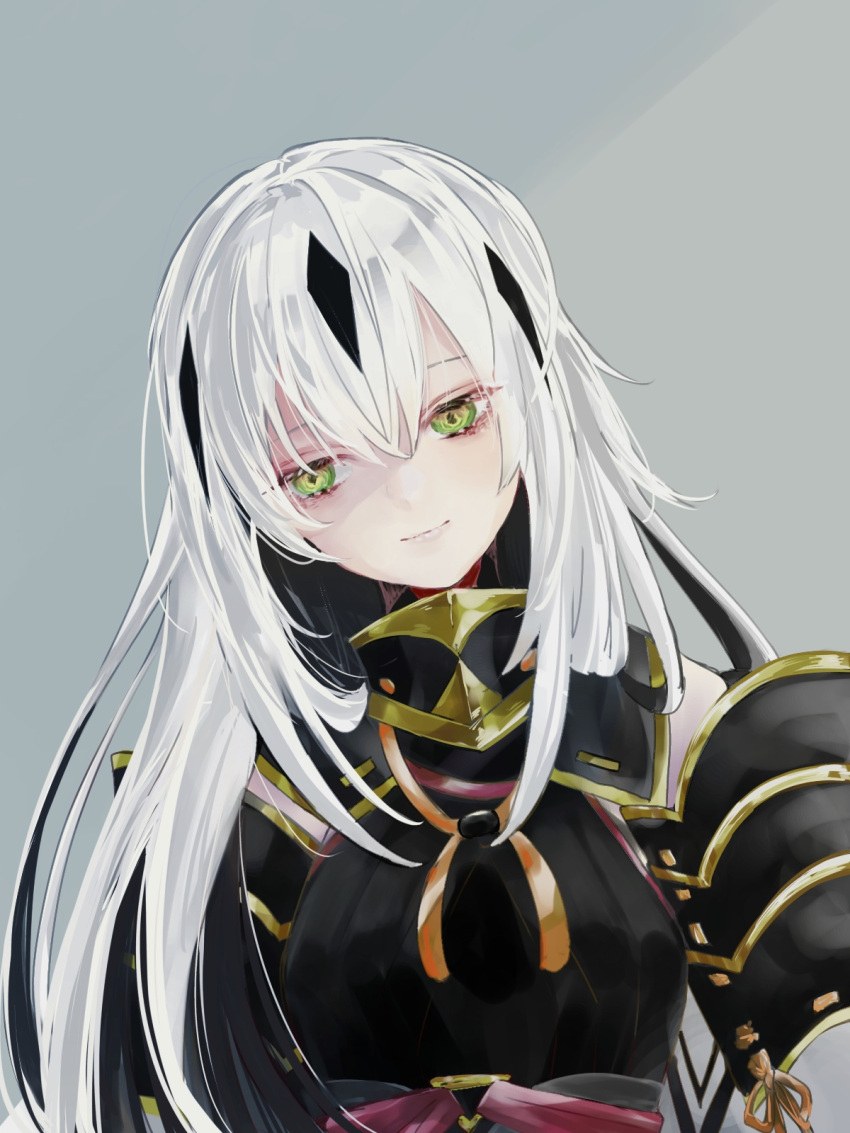 Nagao Kagetora (43 photos)