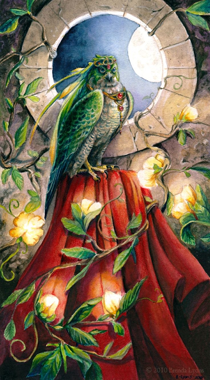 Brenda Burke (61 photos)