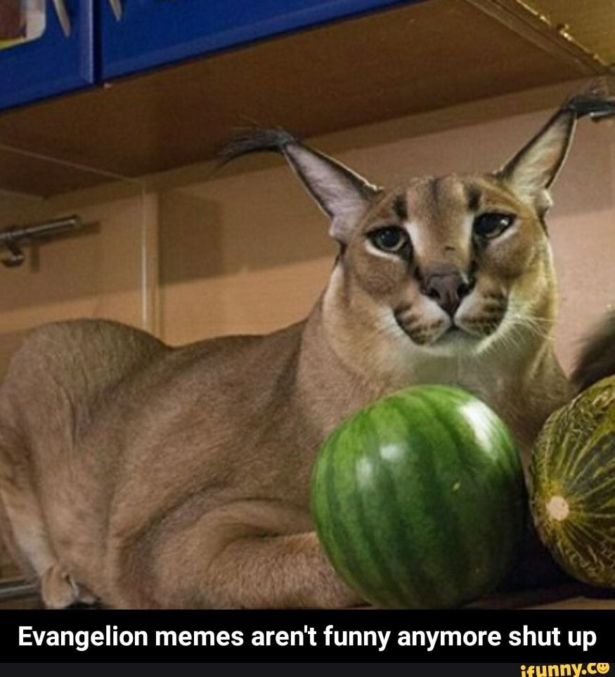 BDSM fluid - watermelon - strawberries 30 ml 20 mg Salt