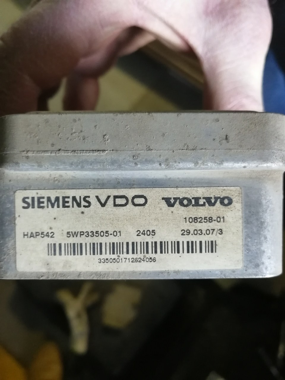 Patricia Velazquez Anksunamun