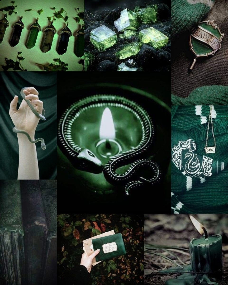 Slytherrin sole (52 photos)