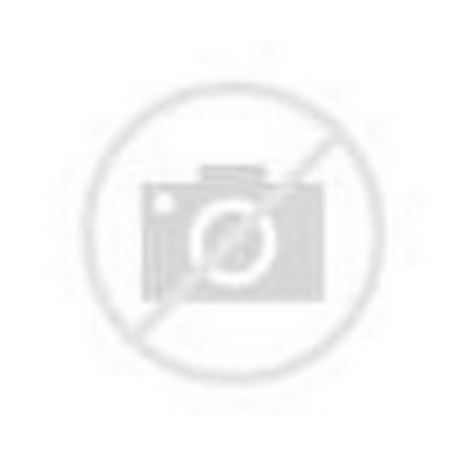 L1904-221 continuous swimsuit