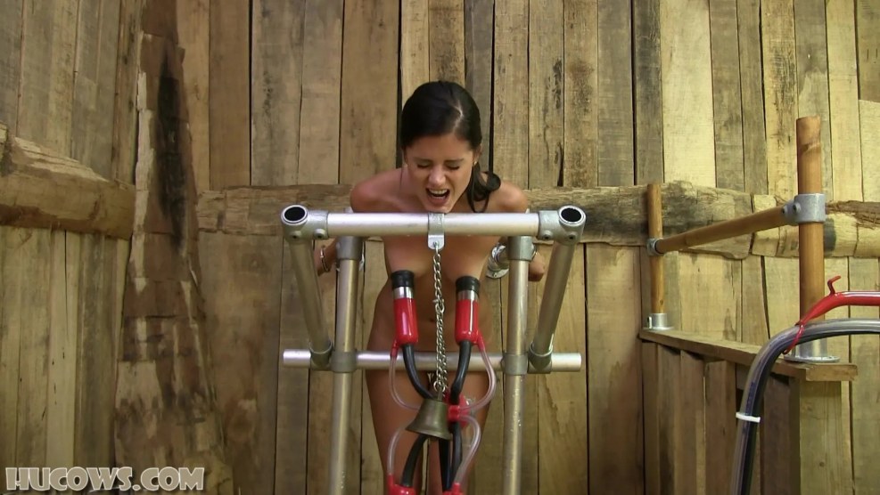 Video Katie - More Time on the Goat Milker