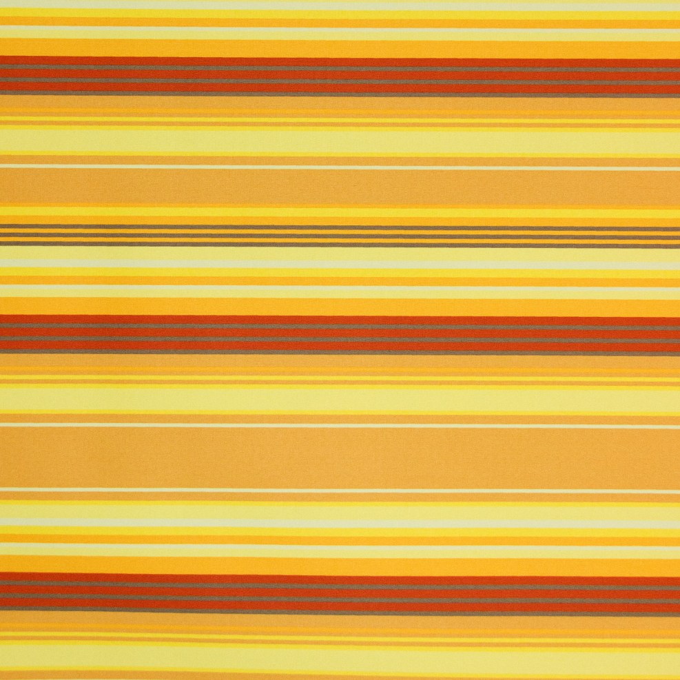 Tamara Markovic Tamara