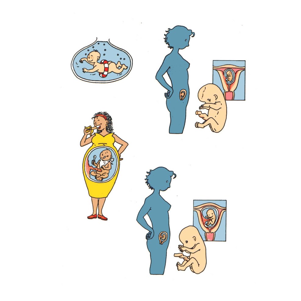 Sexology in England schools