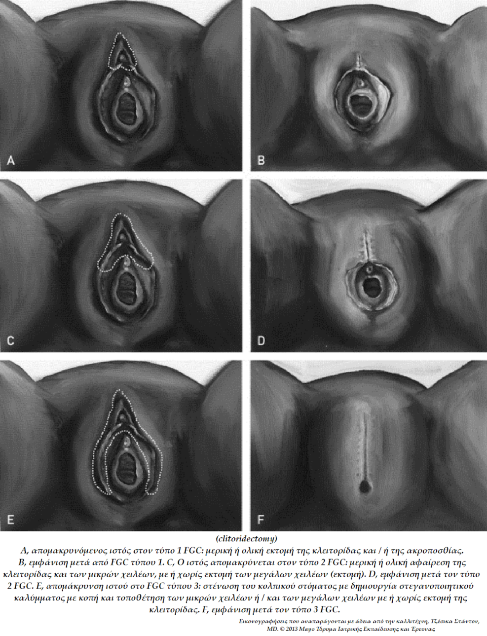 Faralovo cutting hentai