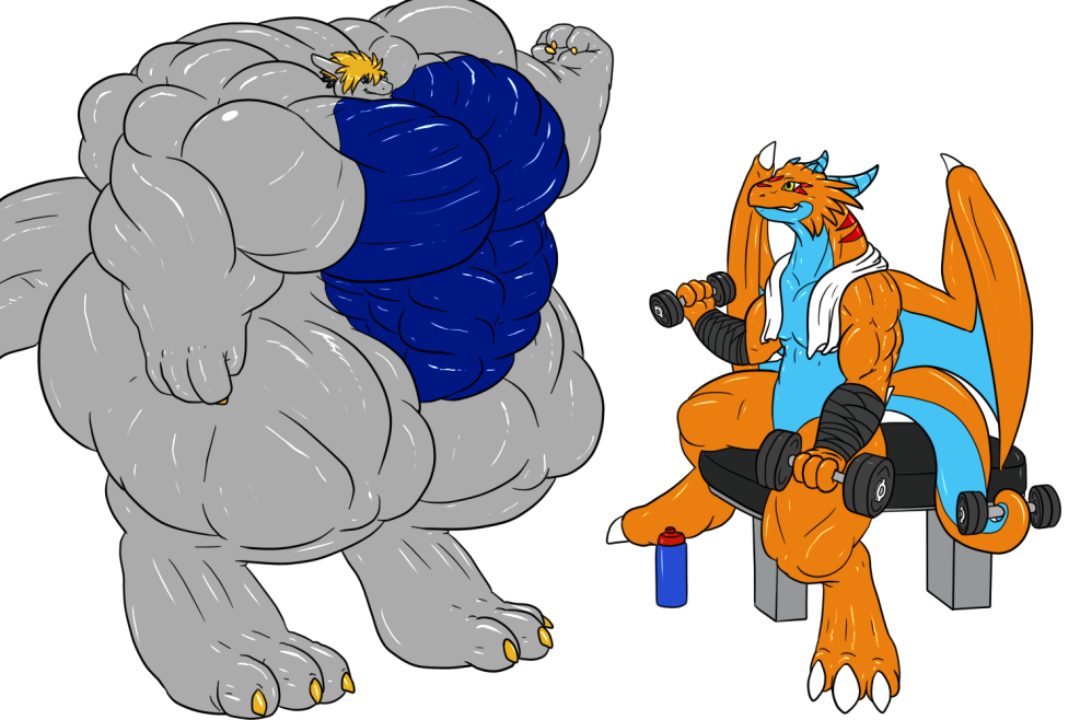 Meibel Muscle Growth