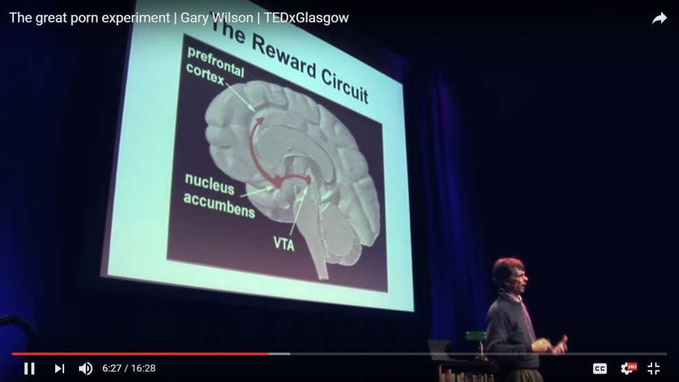 CLAWFINGER 1995 Use Your Brain