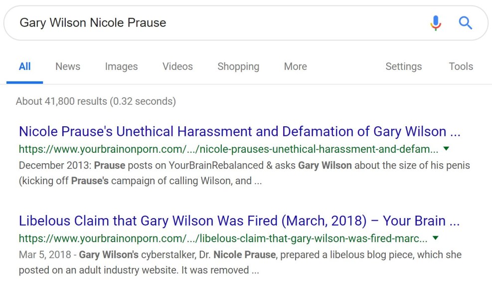 BPW 295x430 shock absorber