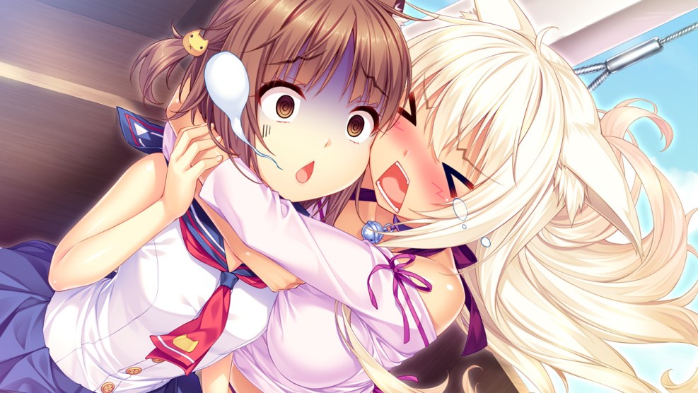 Fly paradise Sinamon