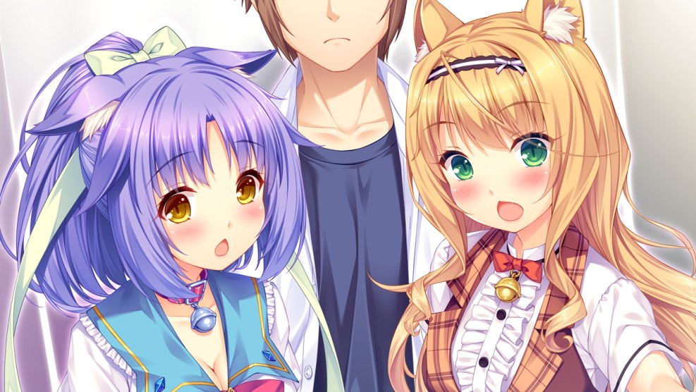 Beautiful layouts minimalism