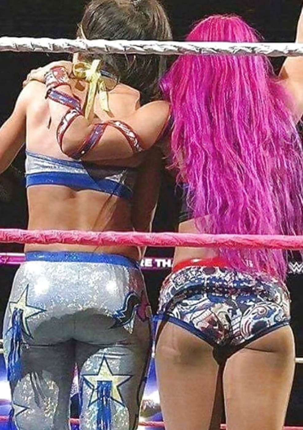 Sasha Banks Pornography