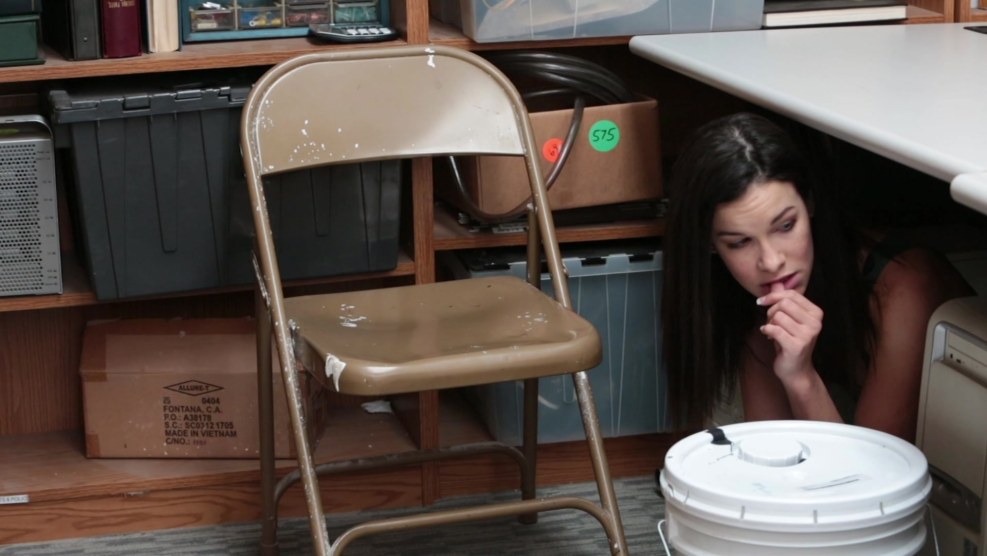 Shoplifter Case 9685254