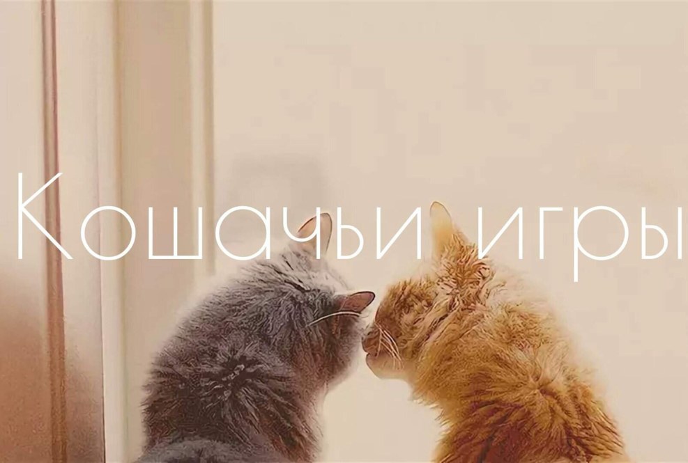 Clayio Valentin Squirta