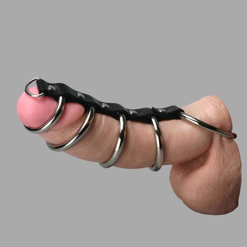 BDSM male dominance