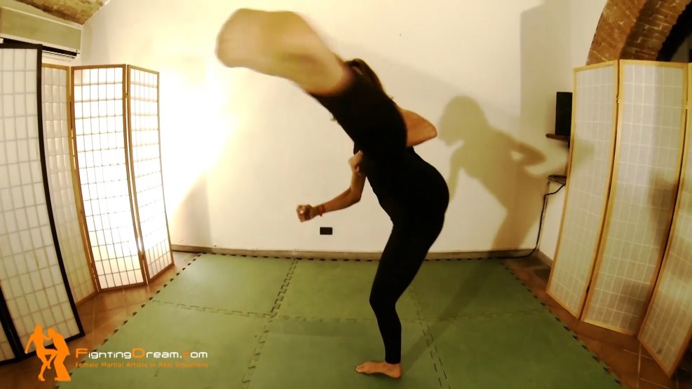 Girls fight 3d graphics