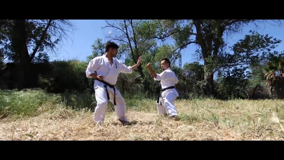 Female sambo white background