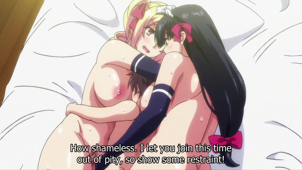 Ecchi Na Onee-chan ni shiboraretai anime