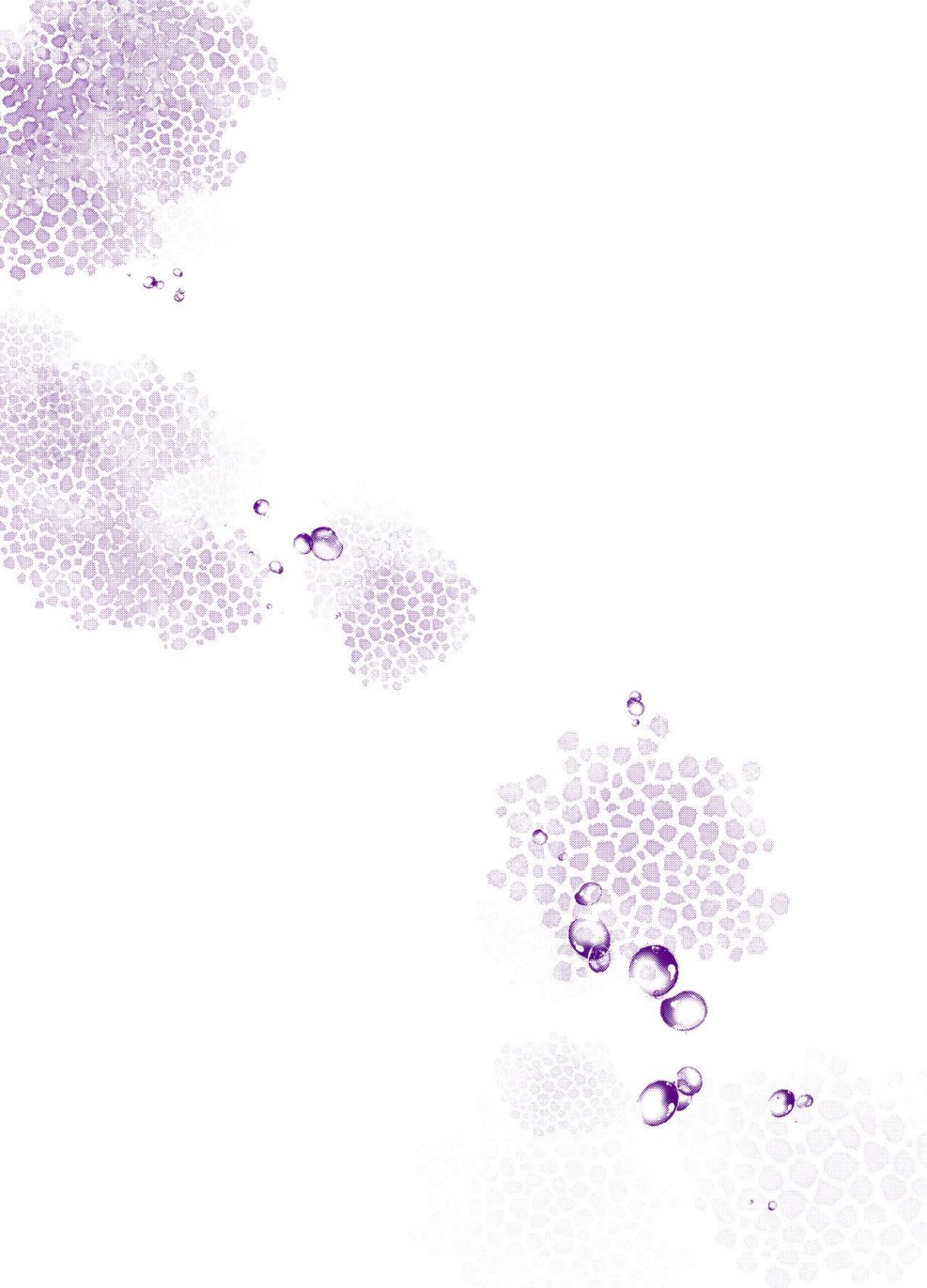 City Castle Dandelion Etti