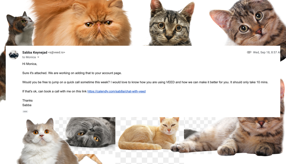 Simplicity Beats Complesity