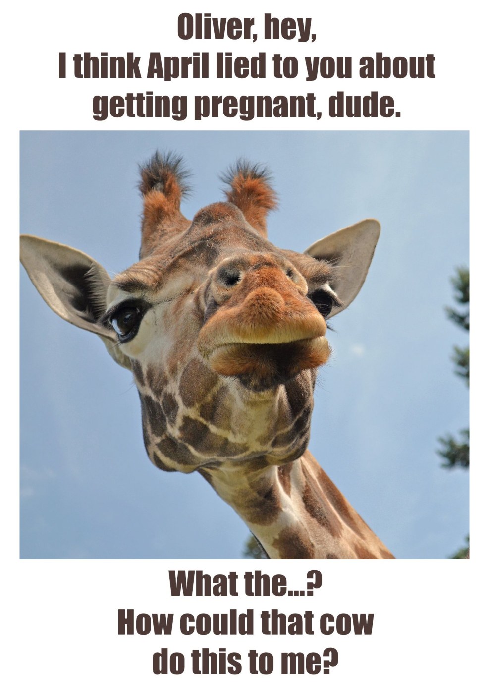 Felicity and Miguel kiss