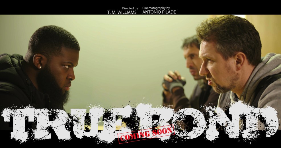 PV charge controller LS1024RP