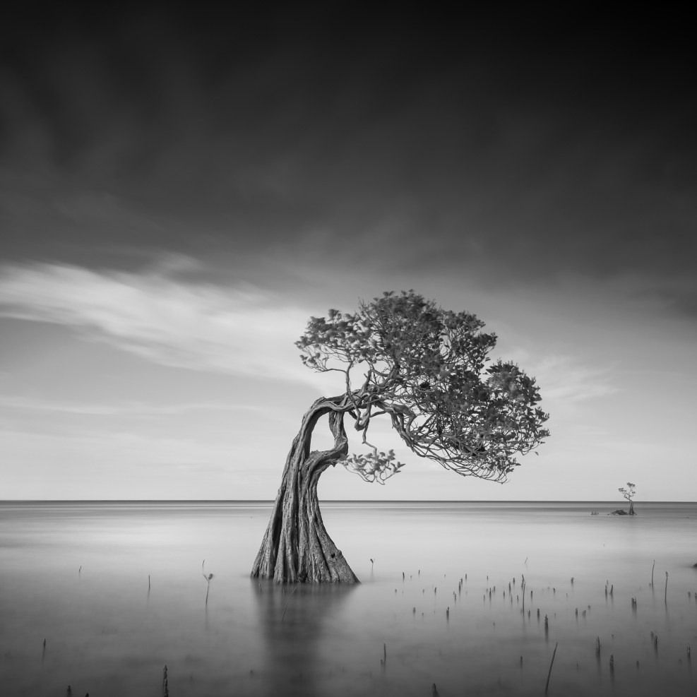 Lapina Tatyana artist