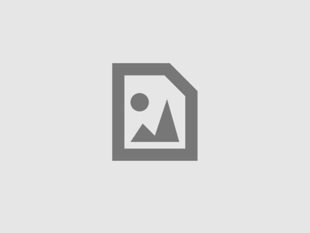 NN-DF383BZPE (inverter)