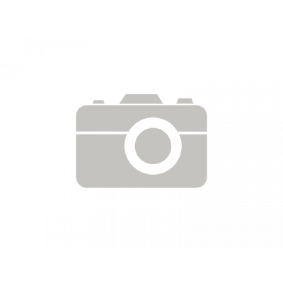 Minimalism conceptualism horizon