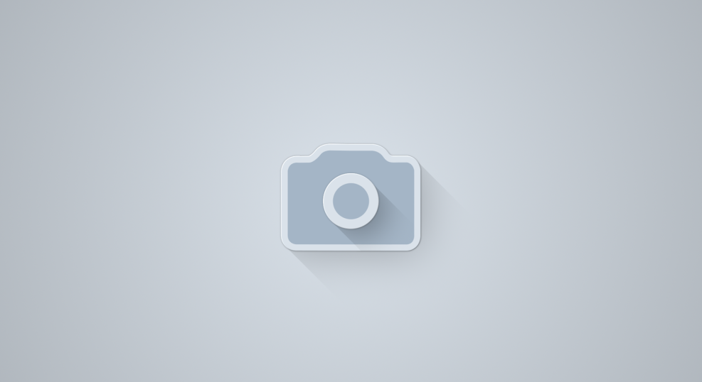 Ljourbring Champion Champion LS5001N