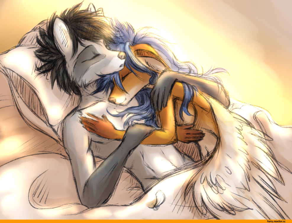 Furri foxes of a couple