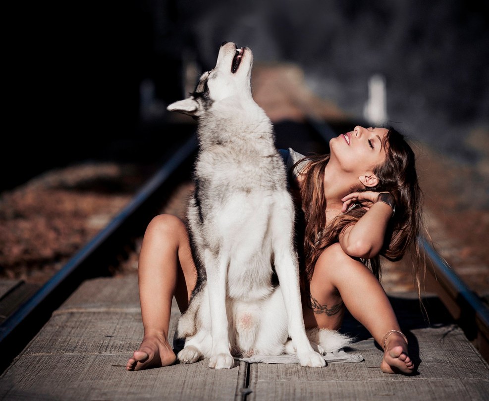 Photoshoot with a wolf