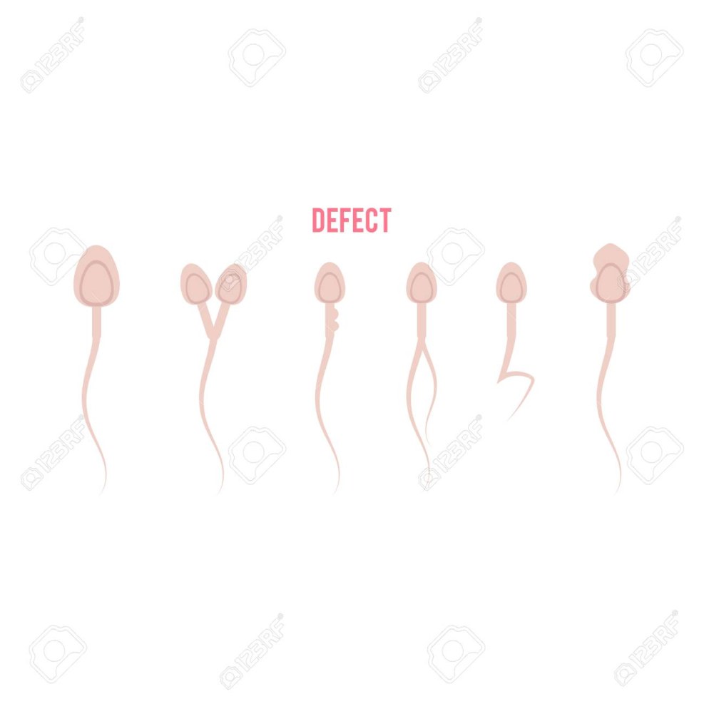 Fake Agent Cums at the casting