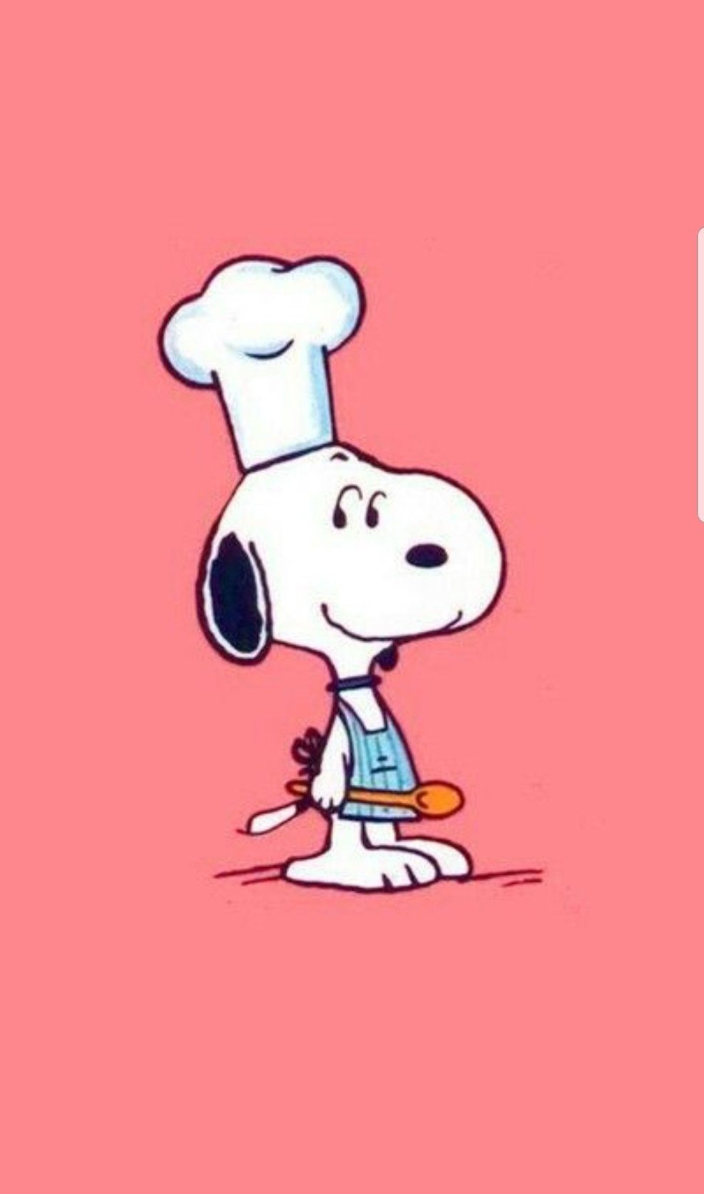 Leader PZ19JB carburetor