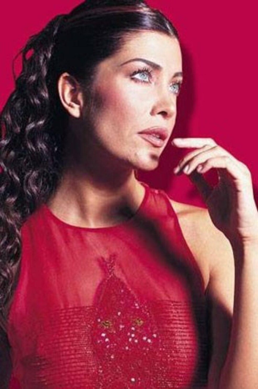 Search line without a background